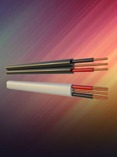 (image for) WS2501